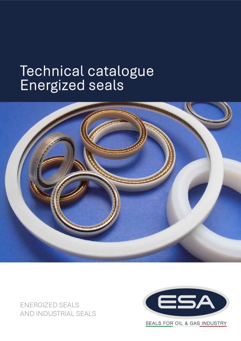 Esa brochure 2026 inglese NEWLOGO pdf 768x1087